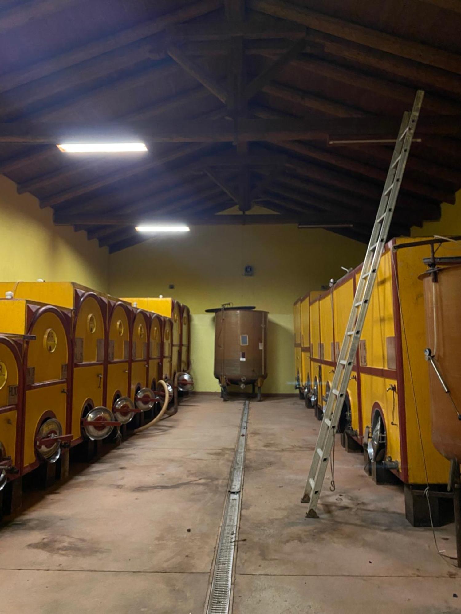 Tenuta Agricola La Cava- Cantina E Agriturismo San Damiano dʼAsti Exterior foto